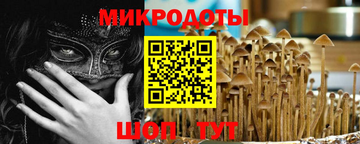 Псилоцибиновые грибы мицелий  Вход с VPN  Кемерово  Галлюциногенные грибы Magic Shrooms 